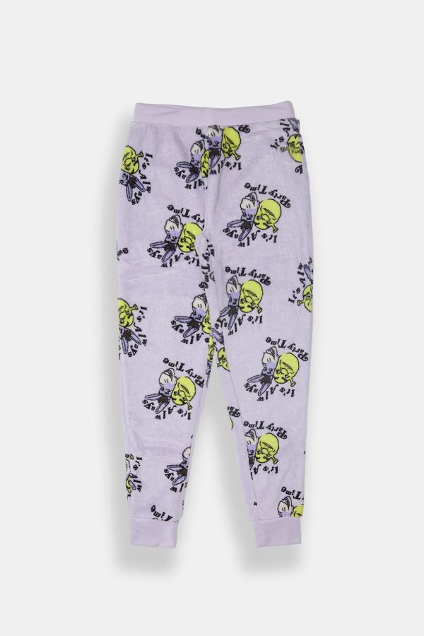 Girls' Shrek & Donkey Pajama Jogger