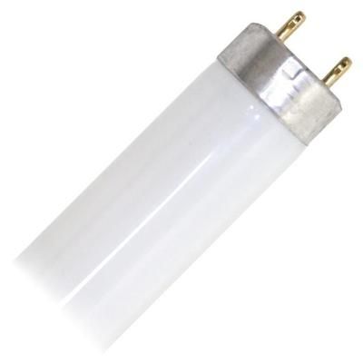 General 50058 - F25T8/841/ECO TUFF 3 Foot Plus Straight T8 Fluorescent Tube Light Bulb