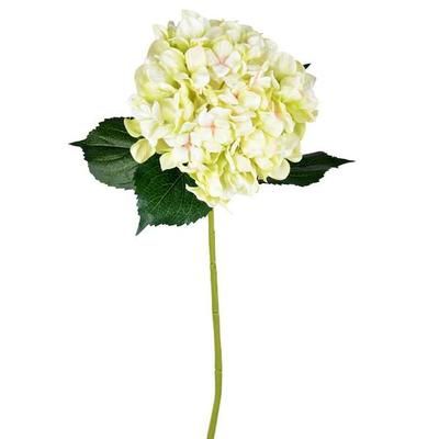 Vickerman 603857 - 33" Light Green Hydrangea Spray (2/pk) (FD190473) Home Office Flower Sprays