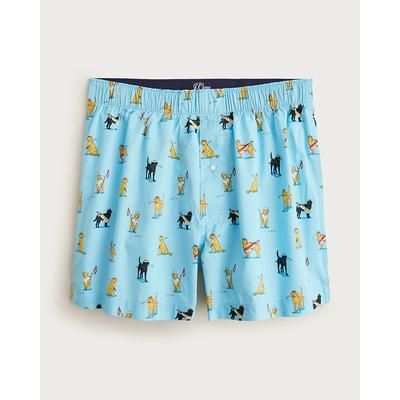 Printed boxers in cotton