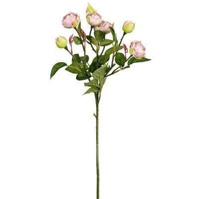 Vickerman 604045 - 20.5" Gray Tea Rose Spray (3/pk) (FD190987) Home Office Flower Sprays