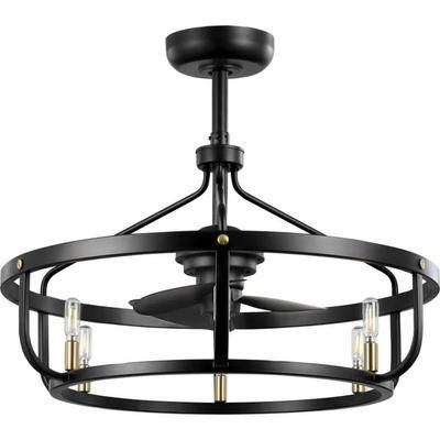 Copan 28.75 in. Indoor/Outdoor Inustrial Black and Gold Cage Ceiling Fan with Bulbs Included and Remote Control