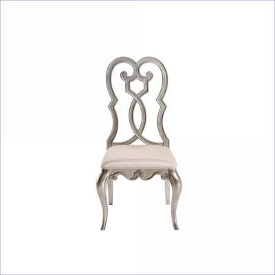 Watnature Set of 2 Antique Brushed Silver Champagne Finish Accent Side Chairs Adult Seating for Dining Living Room Bedroom one_size | VJN10AKXCLHF