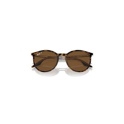 Ray-Ban Rb2204 Sunglasses Havana On Transparent Frame Brown Lenses Polarized 54-20