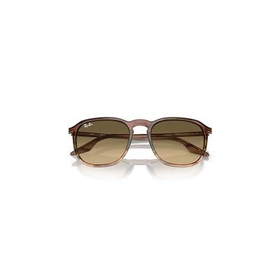 Ray-Ban Rb2203 Sunglasses Striped Brown Frame Brown Lenses 52-20