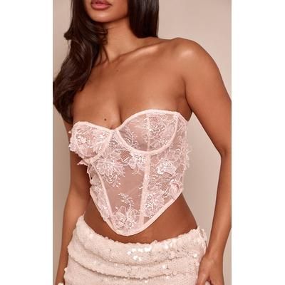 Petite Pale Pink Floral Embroidered Sequin Bandeau Corset