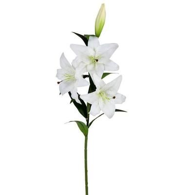 Vickerman 603901 - 36" White Lily Spray (2/pk) (FD190511) Home Office Flower Sprays