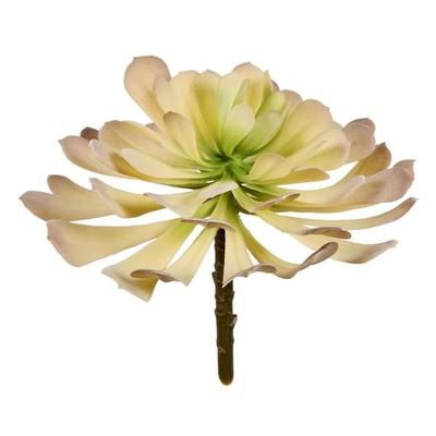 Vickerman 609323 - 5.5" Green Succulent Pick Pk/3 (FE190805) Home Office Succulents