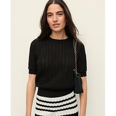 Ann Taylor Petite Pointelle Sweater Tee