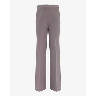 Express Plus Size Women's Editor Studio Stretch Twill High Waisted Flare Trouser in Purple 16