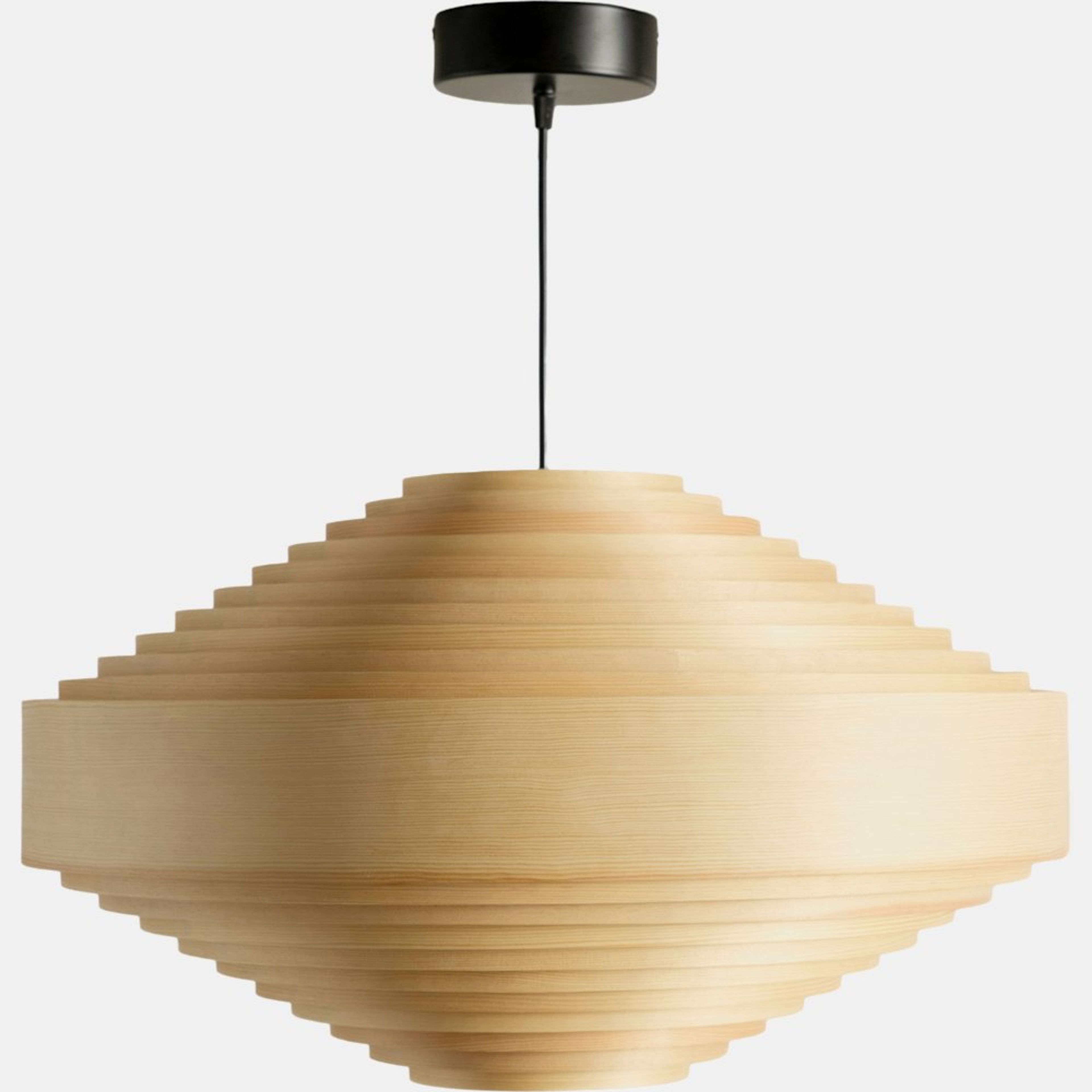 1003 Hans Pendant | Modern Ceiling Light | Design Within Reach