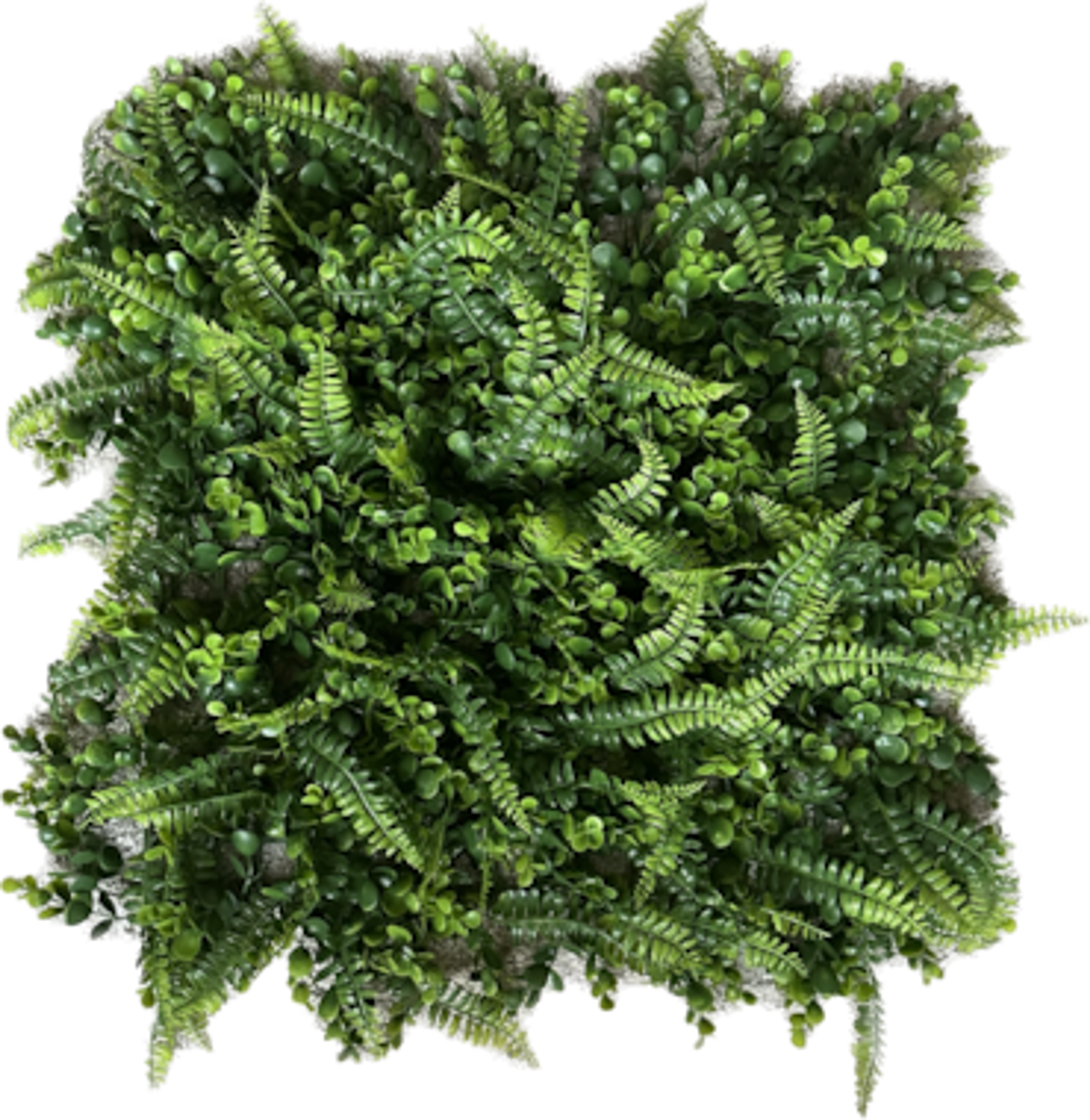 GeckoWall LAGOS Jungle Fern Wall Panel Premium