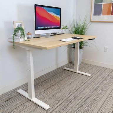 mount-it! 55 in. Width Maple Rectangular Dual Motor Electric Standing Desk MI-18077