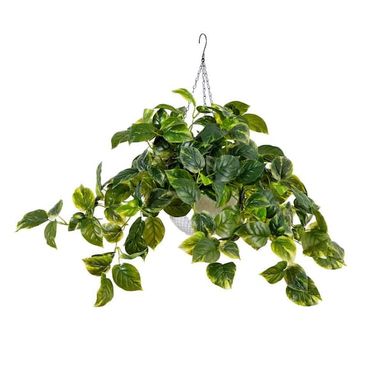Nearly Natural 24 in. UV Resistant Artificial Pothos Vine with 50 Warm White LED Lights in White Hanging Basket (Indoor/Outdoor) P2142