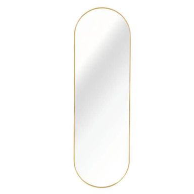 LCEPURE TRADE INC Gold 20 in. W x 60 in. H Decorative Mirror Oval Metal Aluminum Full Length Mirror Vanity Mirror for Living Room JY25032402