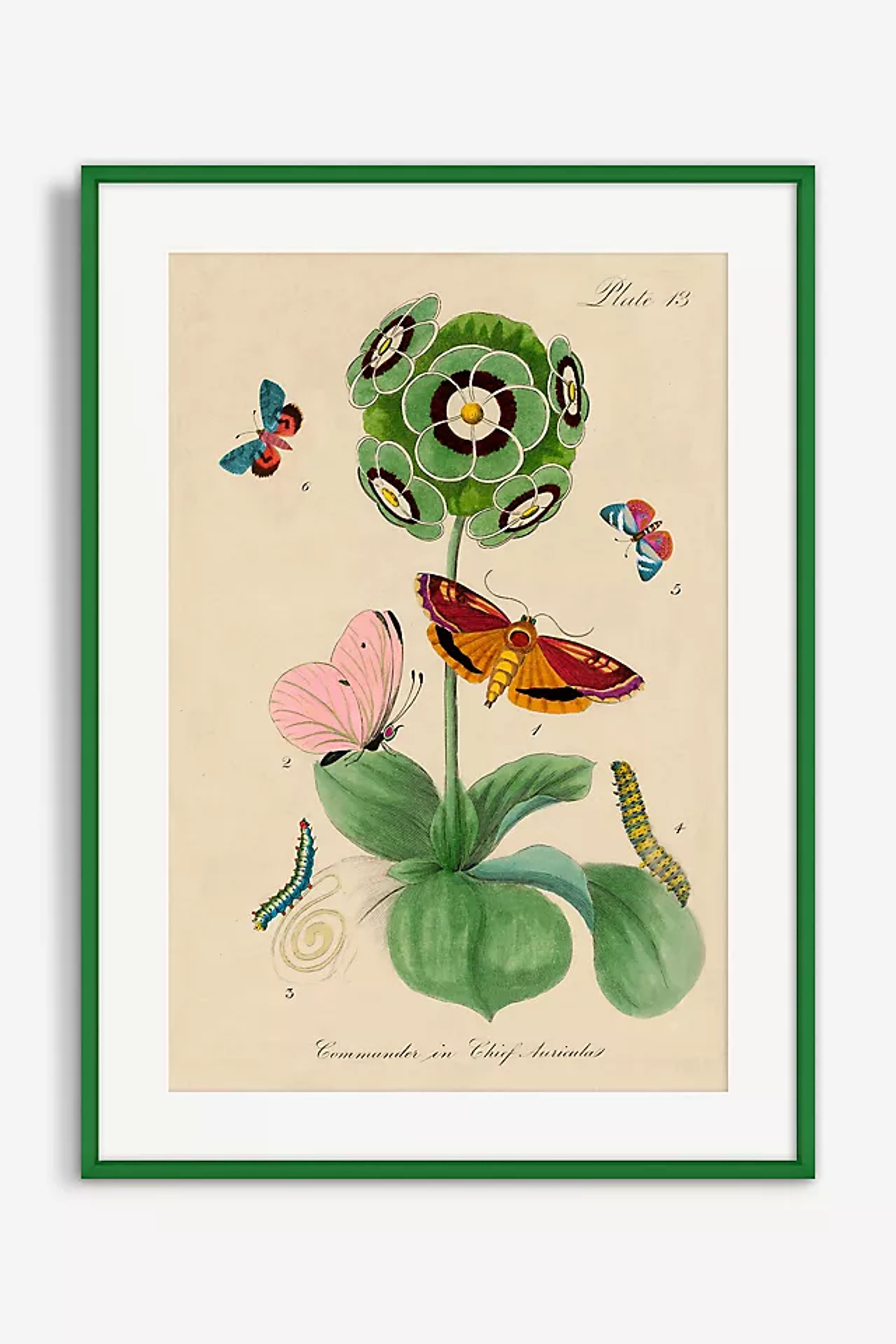 Vintage Flower Wall Art Print by Wyatt Landesmann