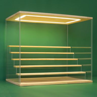 NONEMEY Clear Acrylic Display Case Stand with LED Light 2/3/4/5/6 Tier Storage Box Showcase Dustproof Organizer Box for Collectibles (6 Tiers 19.6 * 12.5 * 16.5inch)