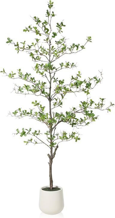 Amazon.com: SOGUYI Artificial Black Olive Tree, 6FT Tall Faux Shady Lady Tree, Fake Tree with White Planter and Fake Moss, Realistic Plants & Greenery for Home Office Decor : Home & Kitchen