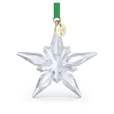 Swarovski 2025 Annual Edition Ornament 2025 Annual Editions Clear