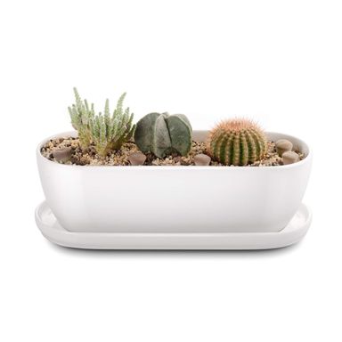 Oval Ceramic Planter Pot with Drainage Hole Saucers 11 Inch Succulents Planter Home Decor for Indoor Outdoor Plants Herb Cactus with 3 Mesh Pads, Plants Not Included White 11 inch