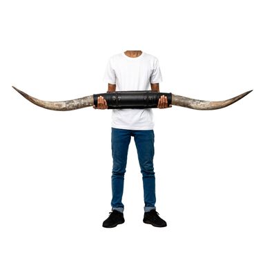 Skull Bliss - Authentic Real Bull Longhorn/Black Leather Horn Mount - Steer Horns/Unique Wall Hangings and Longhorn Wall Decor (Standard Horns) Big Gun Standard Horns