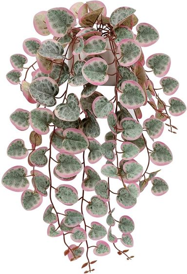 Hollyone Trailing Artificial Plants Decorative Fake Potted Plants, String of Hearts Plants Indoors Outdoors, Faux Trailing Plants for Home, Wall, Living Room, Bedroom, Office Decorations : Amazon.co.uk: Home & Kitchen
