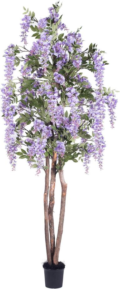 Amazon.com: Vickerman 7' Artificial Purple Wisteria Tree Set in Black Pot : Home & Kitchen