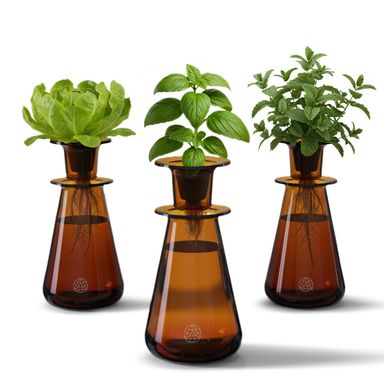 Counterstand Set – Vase Plant for Indoor Edible Garden Kit for Herbs & Lettuce – Small-Space Hydroponic System – Home Decor & Gifting – No Glow Lamp