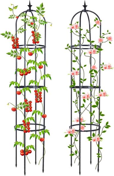 Amazon.com : Trellis for Climbing Plants Outdoor, Deaunbr Garden Plant Support Tall Tower Obelisk Vine Cages Plastic Coated Rustproof Metal Pipe Supports for Outdoor Indoor, Potted Plants, Tomato, Rose - 2 Pack : Patio, Lawn & Garden