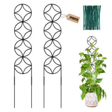 24Inch Outdoor Plant Trellis for Climbing Plants,Metal Garden Trellis for Potted Plants,Plant Stakes for Indoor Plants Accessories Hoya,Flower,Plant Support,Plant Gifts (24IN-Coin)