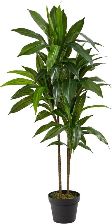 Amazon.com: Nearly Natural 48" Dracaena Silk Plant (Real Touch) Green : Home & Kitchen