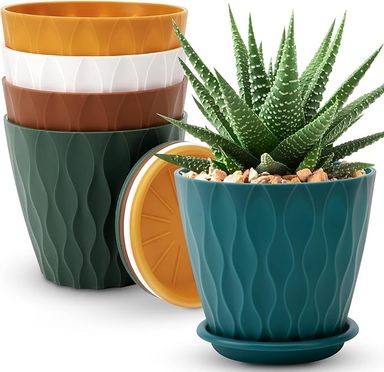 YNNICO 6 inch Plant Pots, 5 Pack Flower Pots Outdoor Indoor, Planters with Drainage Holes and Tray Saucers : Amazon.co.uk: Garden