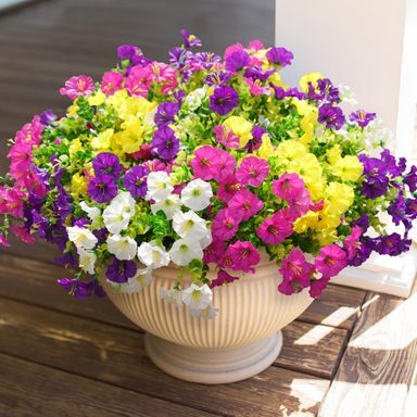 Artificial Faux Flowers Plants for Outdoor Outside Decoration, 12 Bundles Fake Silk Colorful Morning Glory UV Sun Resistant Look Real for Spring Summer Front Door Porch Patio Planter Yard Urn