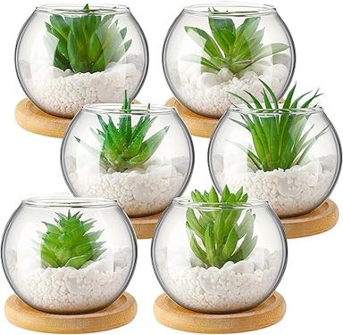 Amazon.com: Briwooody 6 Pack Artificial Succulent in Clear Glass Pot, Mini Potted Fake Plants for Office Decoration Small Faux Green Plant with Bamboo Tray for Bookshelf Bathroom Kitchen Tabletop Centerpiece : Home & Kitchen