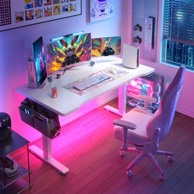 EnHomee Electric Standing Desk with LED Lights,56 x 24 Inch Height Adjustable Computer Desk with 3 Memory Preset,Gaming Sit Stand Desk with Storage Side Pocket and Cable Management,White White 56*24*29
