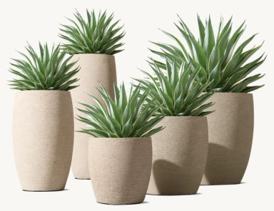 Terreno Planter