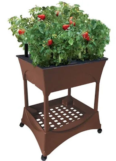Emsco Group 20-in W x 24-in L x 30-in H Earth Brown Raised Garden Bed