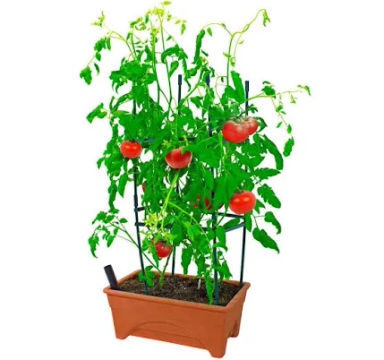 Emsco Start Pickin Raised Bed Grow Box