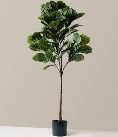 Faux Fiddle Leaf Fig Tree Houseplants, Large in Stone - The Sill