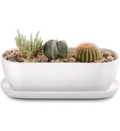 E-liu Oval Ceramic Planter Pot with Drainage Hole Saucers 11 inch Succulents Planter