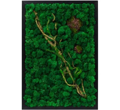 LVZHIHUAN Moss Wall Decor Real Preserved Reindeer Moss No Maintenance Required Eco Natural Green Wall Art Moss Frame Living Plants Vertical Garden