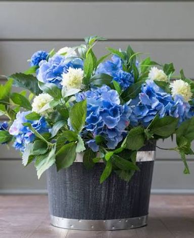 22" Blue/White Outdoor Hydrangea Potted Foliage, Width 26 in, Unlit by Balsam Hill