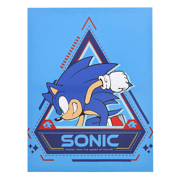 Sonic Canvas Wall Art, Blue