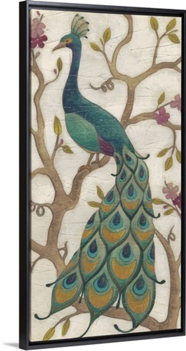 Peacock Fresco II Stretched Canvas, Black Floating Frame