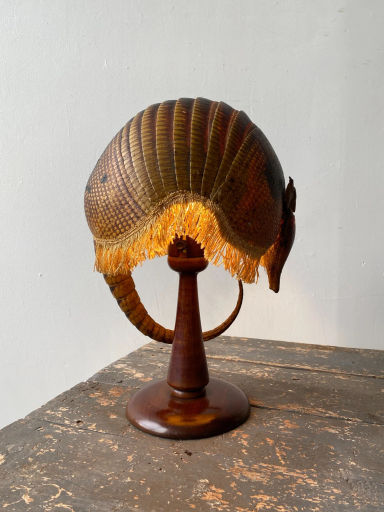 Rare Antique Brazilian Taxidermy Armadillo Table Lamp with Silk Fringe, Circa 1920s — portmanteau new york