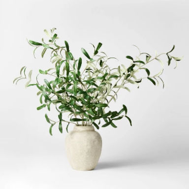Olive Leaf Potted Arrangement - Threshold™ designed with Studio McGee