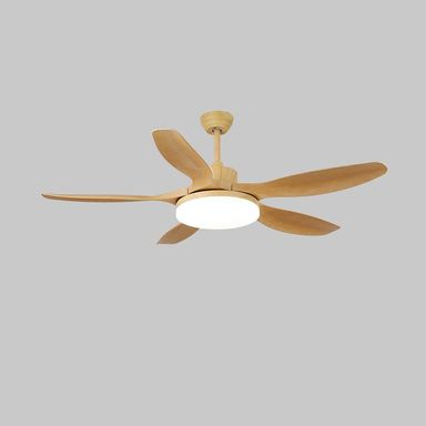 Keltis 48"/52" Ceiling Fan Light