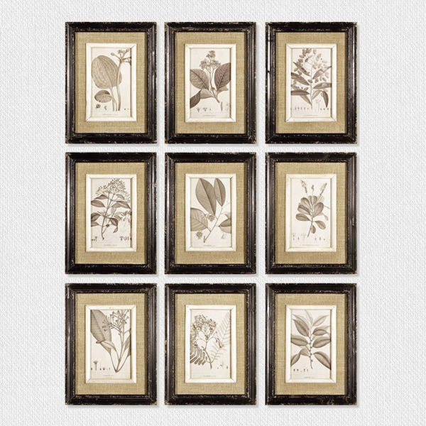 Framed Botanical Print Collection Set of 9