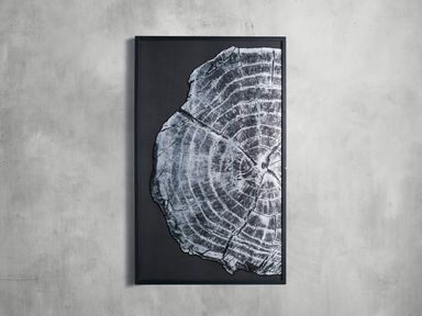Tree Ring I Framed Print