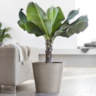 Ecopots Amsterdam Round Planter